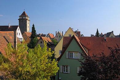 大神用《梦境》再现《艾尔登法环》 代入感很强