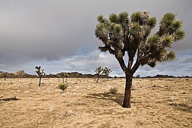 《史莱姆牧场2》宣布将登陆PS5 6月11日发售