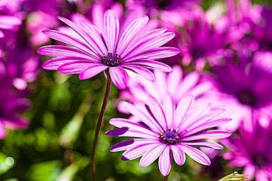 育碧相信《马力欧+疯兔星耀之愿》会长卖